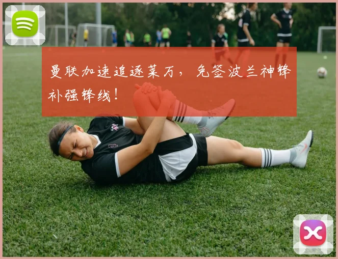 曼联加速追逐莱万，免签波兰神锋补强锋线！